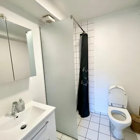 Appartement 5 Min Walk To Lego House-studio 18